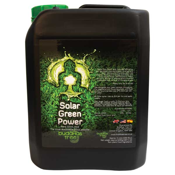 BUDDHAS TREE-Solar Green Power - Image 4