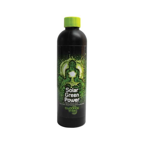 BUDDHAS TREE-Solar Green Power - Image 2