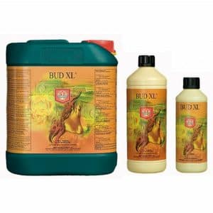 House & Garden - Bud-XL