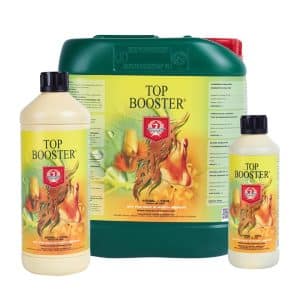 House & Garden - Top Booster