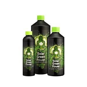 BUDDHAS TREE-Solar Green Power