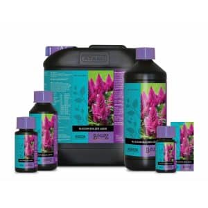 ATAMI B’Cuzz Blossom Builder Liquid - Hydroponic Centre