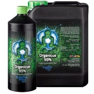 Buddhas Tree Organicus 99% - Hydroponic Centre