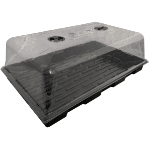Budget Propagator