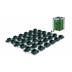 Alien EasyFeed System - 36 Pots