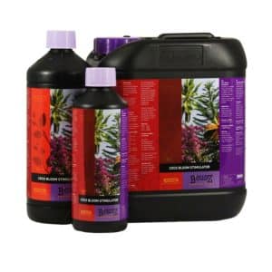 B’Cuzz Coco Bloom Stimulator