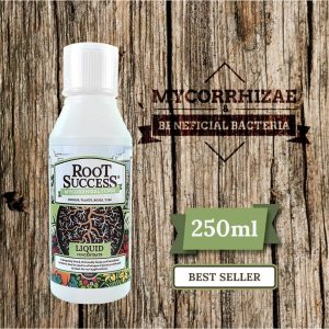 Root Success Mycorrhizal Fungi for Lawns