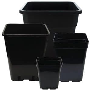 Square Pots (Black) - Hydroponic Centre