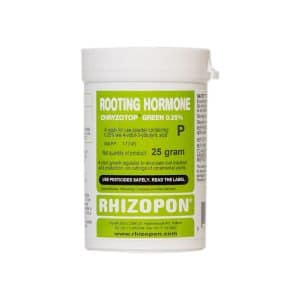 Rhizopon