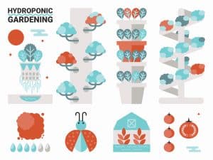 Hydroponic Farming Types