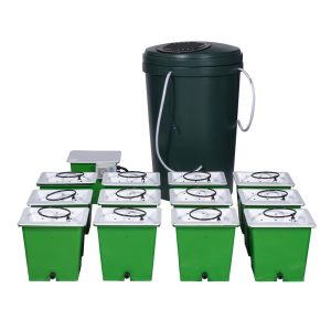 GREEN MAN 12 COMBI SYSTEM - 12 POT