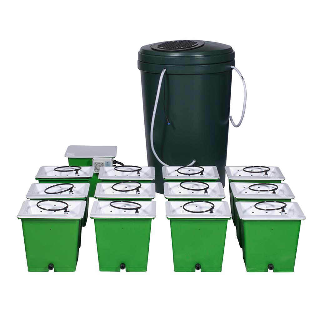 GREEN MAN 12 COMBI SYSTEM - 12 POT