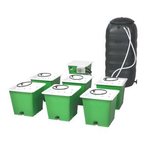 GREEN MAN 16 COMBI SYSTEM - 16 POT