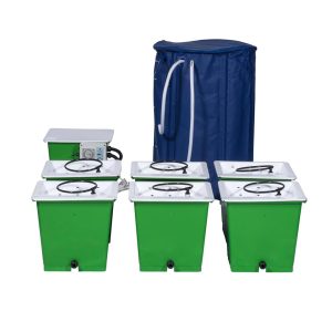 GREEN MAN 6 COMBI (FLEX) SYSTEM - 6 POT