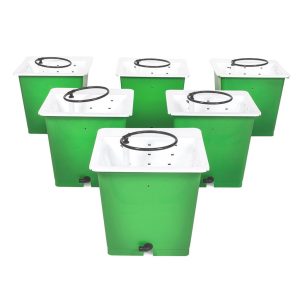 GREEN MAN COMBI KIT 6 POT PACKAGE