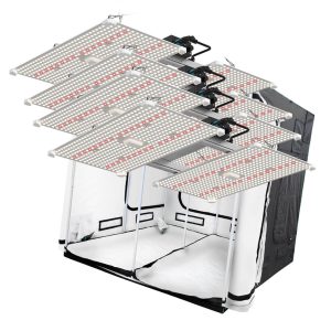 LightHouse WHITE 2.4m² LED Tent Bundle