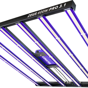 Lumatek Zeus 600W PRO 3.1