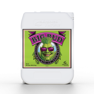 ADVANCED NUTRIENTS Big Bud 10L