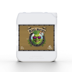 ADVANCED NUTRIENTS Big Bud Coco 5L