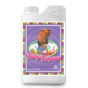 Tasty Terpenes