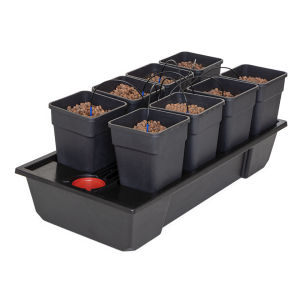 Wilma Small Wide 8 Complete 11L