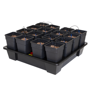 Wilma XXL 20 Complete 6.5L
