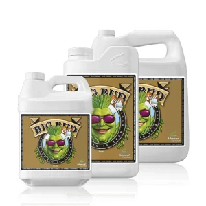 Big Bud COCO 5L
