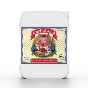 Carboload 10L