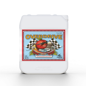 Overdrive 5L