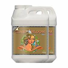 Sensi CoCo Bloom 10L – A