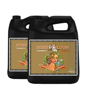 Sensi CoCo Bloom 10L – B