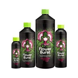 Flower Burst 5L